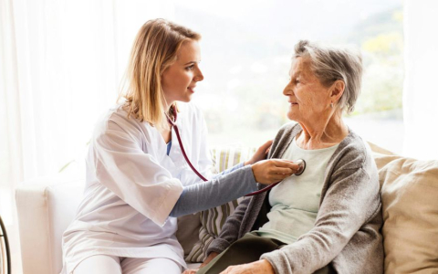 Asistente de Salud en el Hogar