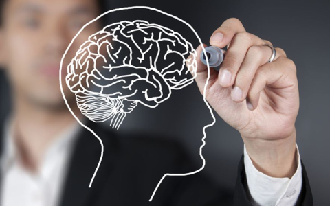 Neurociencias Integradas